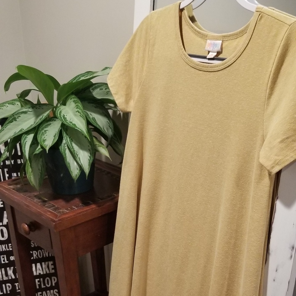Mustard pinstripe Lularoe Carly